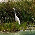 W Kadynach odbędzie się bezpłatne szkolenie na temat Natura 2000
