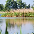 Wielkimi krokami zbliża się Enduroman
