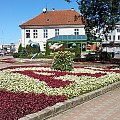 Elbląg Inspirowany Naturą