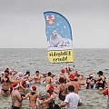 Elbląskie morsy walczyły o pobicie rekordu Guinnessa